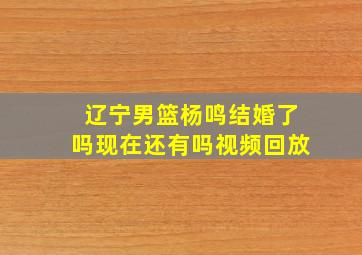 辽宁男篮杨鸣结婚了吗现在还有吗视频回放