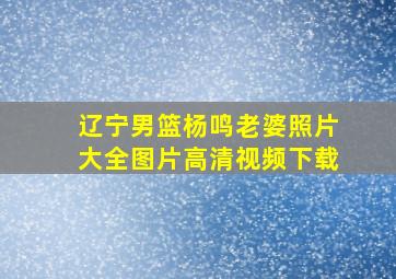 辽宁男篮杨鸣老婆照片大全图片高清视频下载