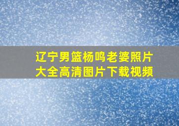 辽宁男篮杨鸣老婆照片大全高清图片下载视频