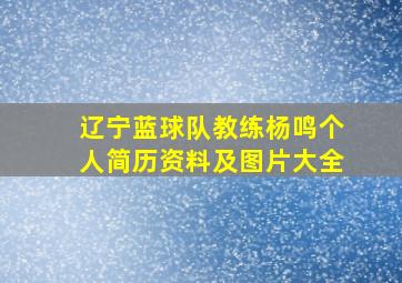 辽宁蓝球队教练杨鸣个人简历资料及图片大全