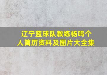 辽宁蓝球队教练杨鸣个人简历资料及图片大全集