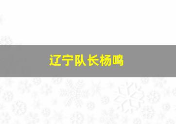 辽宁队长杨鸣