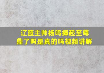 辽篮主帅杨鸣捧起至尊鼎了吗是真的吗视频讲解