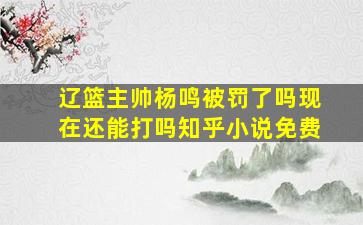 辽篮主帅杨鸣被罚了吗现在还能打吗知乎小说免费