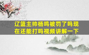 辽篮主帅杨鸣被罚了吗现在还能打吗视频讲解一下