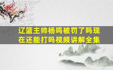 辽篮主帅杨鸣被罚了吗现在还能打吗视频讲解全集