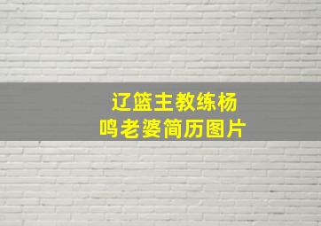 辽篮主教练杨鸣老婆简历图片