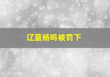 辽蓝杨呜被罚下