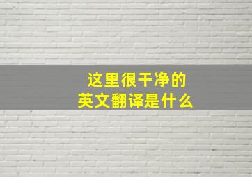 这里很干净的英文翻译是什么