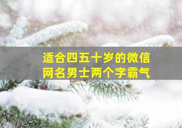 适合四五十岁的微信网名男士两个字霸气