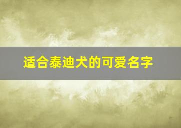 适合泰迪犬的可爱名字