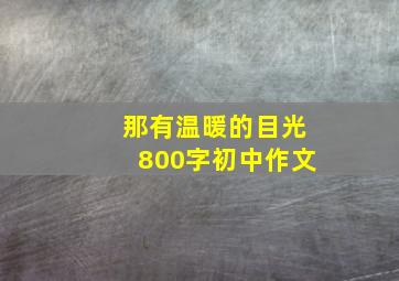 那有温暖的目光800字初中作文