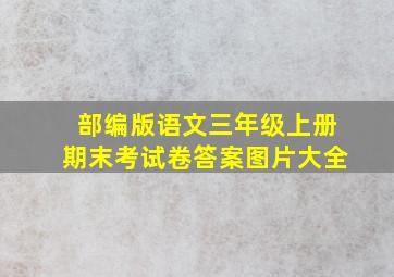 部编版语文三年级上册期末考试卷答案图片大全