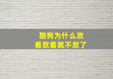 酷狗为什么放着放着就不放了