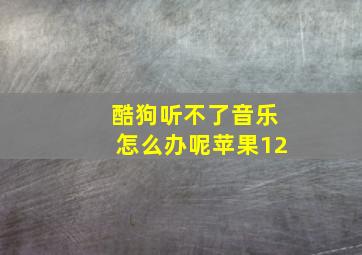 酷狗听不了音乐怎么办呢苹果12