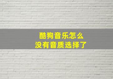 酷狗音乐怎么没有音质选择了