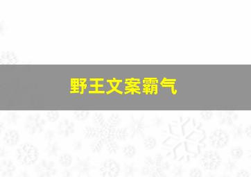 野王文案霸气