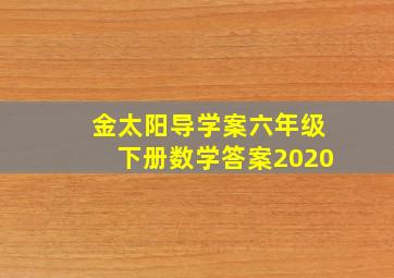 金太阳导学案六年级下册数学答案2020