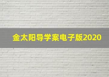 金太阳导学案电子版2020