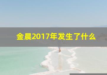 金晨2017年发生了什么