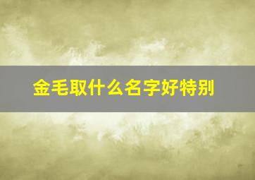 金毛取什么名字好特别