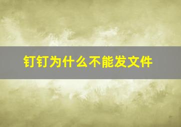 钉钉为什么不能发文件