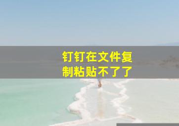 钉钉在文件复制粘贴不了了