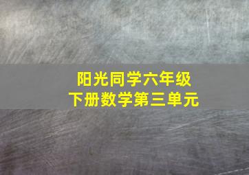 阳光同学六年级下册数学第三单元