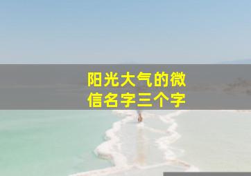 阳光大气的微信名字三个字