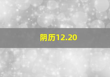 阴历12.20