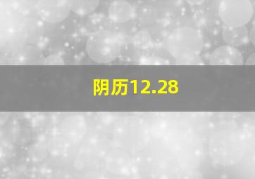 阴历12.28