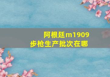 阿根廷m1909步枪生产批次在哪