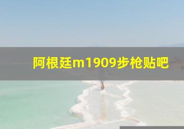 阿根廷m1909步枪贴吧