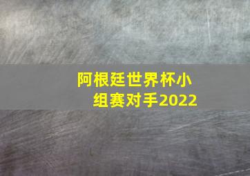 阿根廷世界杯小组赛对手2022