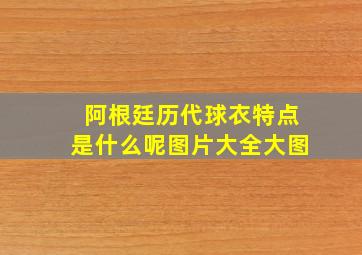 阿根廷历代球衣特点是什么呢图片大全大图