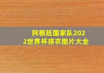 阿根廷国家队2022世界杯球衣图片大全