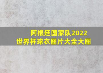 阿根廷国家队2022世界杯球衣图片大全大图