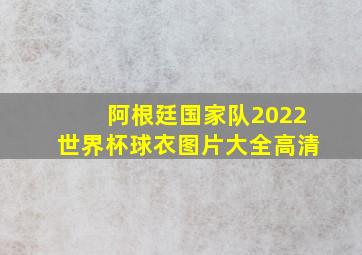 阿根廷国家队2022世界杯球衣图片大全高清