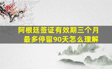 阿根廷签证有效期三个月最多停留90天怎么理解