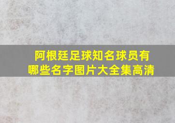 阿根廷足球知名球员有哪些名字图片大全集高清