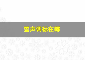 雪声调标在哪