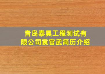 青岛泰昊工程测试有限公司袁官武简历介绍