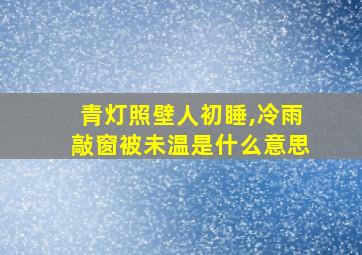 青灯照壁人初睡,冷雨敲窗被未温是什么意思