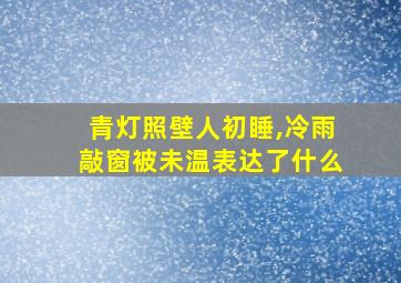 青灯照壁人初睡,冷雨敲窗被未温表达了什么