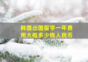 韩国出国留学一年费用大概多少钱人民币