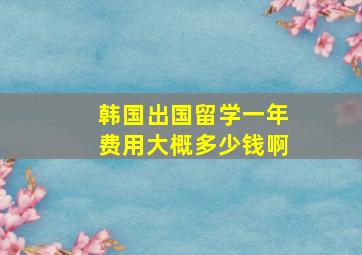 韩国出国留学一年费用大概多少钱啊