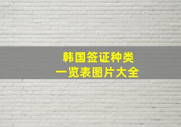 韩国签证种类一览表图片大全