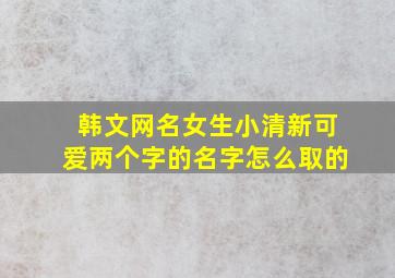 韩文网名女生小清新可爱两个字的名字怎么取的