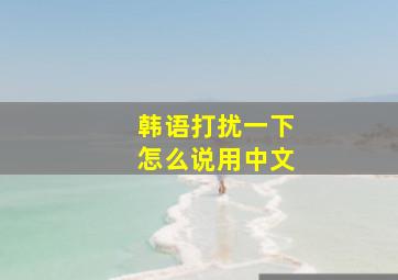 韩语打扰一下怎么说用中文