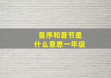 音序和音节是什么意思一年级